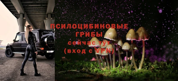 круглые Алзамай